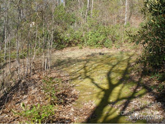 0 Anglers Ridge Road #B1, B2,B3,B4 - Photo 7