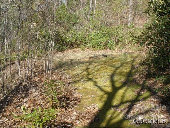 0 Anglers Ridge Road #B1, B2,B3,B4 - Photo 7