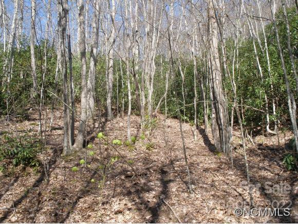 0 Anglers Ridge Road #B1, B2,B3,B4 - Photo 8