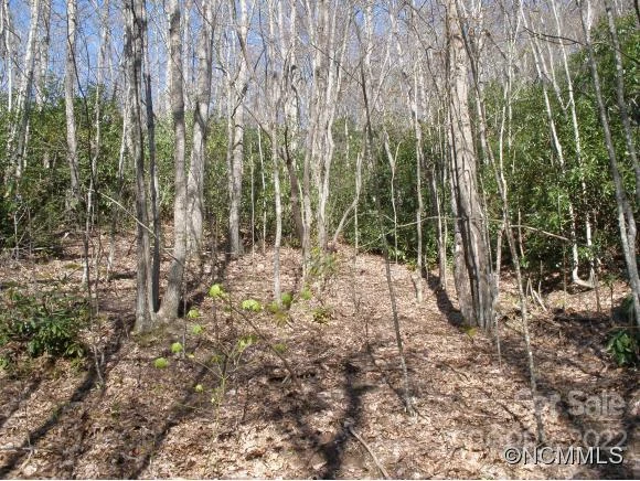 0 Anglers Ridge Road #B1, B2,B3,B4 - Photo 8