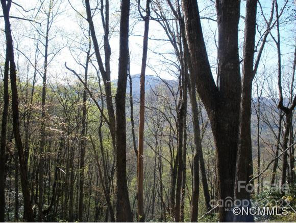 0 Anglers Ridge Road #B1, B2,B3,B4 - Photo 10