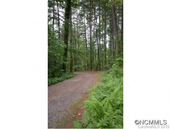 620 Upper Grassy Branch - Photo 6