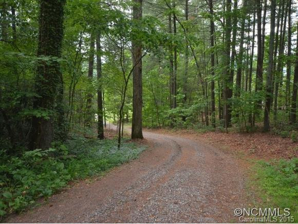 620 Upper Grassy Branch - Photo 7