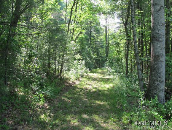1440 Brookside Camp Road - Photo 3