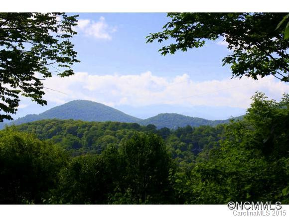 11 Mayapple - Photo 11