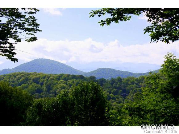 11 Mayapple - Photo 3