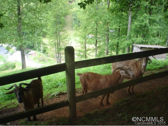 165 PUNCHEON CAMP ROAD - Photo 12