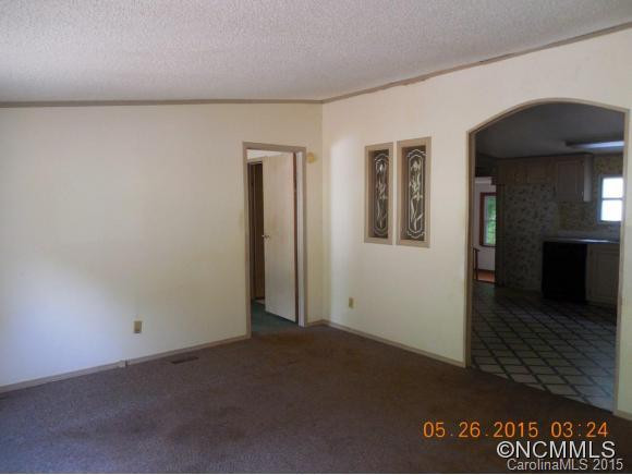 135 S Mills River - Photo 2
