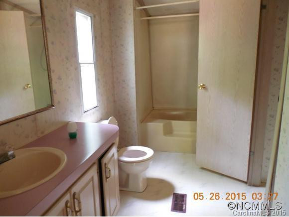 135 S Mills River - Photo 4