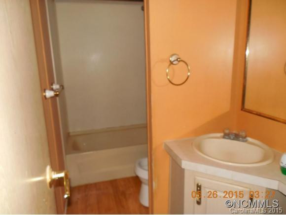 135 S Mills River - Photo 6
