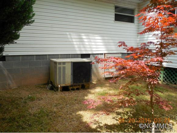 135 S Mills River - Photo 9
