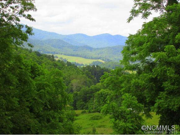 44 Buster Branch Road - Photo 2
