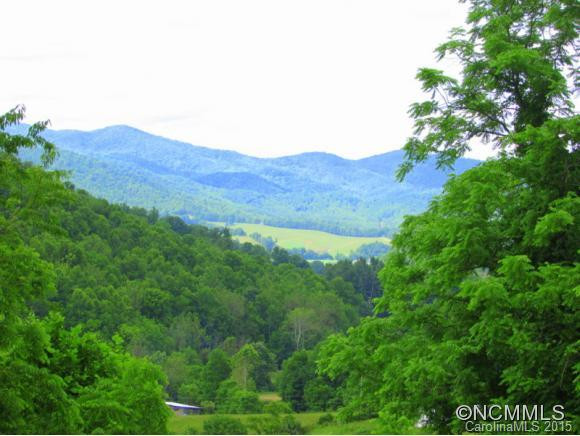 44 Buster Branch Road - Photo 12