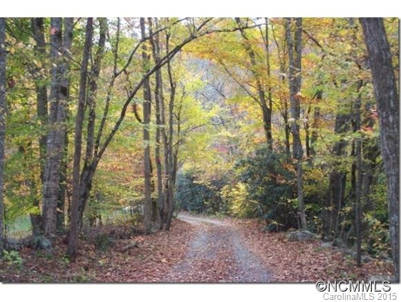342 Larkspur Lane - Photo 11