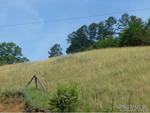 376 LOWER FLAT CREEK ROAD - Photo 22
