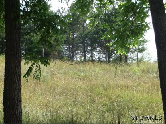 376 LOWER FLAT CREEK ROAD - Photo 23