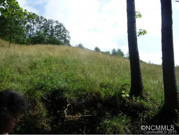 376 LOWER FLAT CREEK ROAD - Photo 5