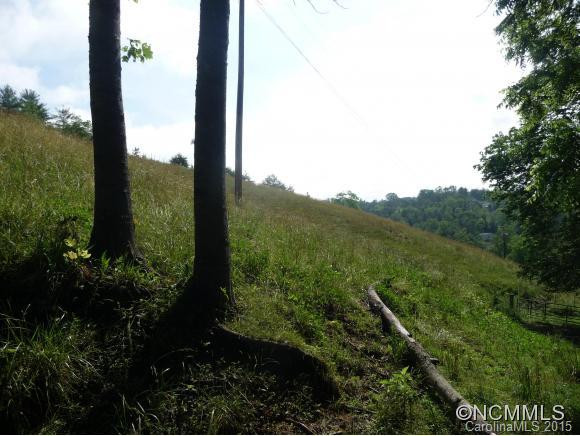 376 LOWER FLAT CREEK ROAD - Photo 6