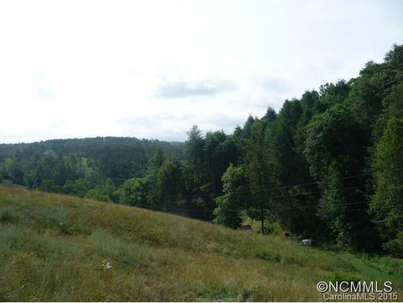 376 LOWER FLAT CREEK ROAD - Photo 7