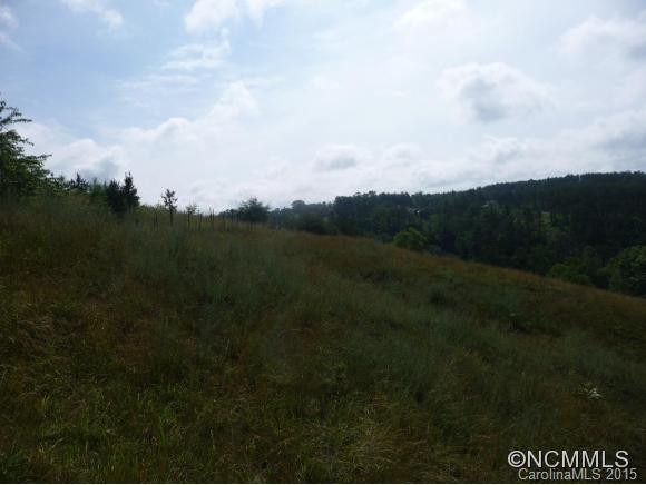 376 LOWER FLAT CREEK ROAD - Photo 8