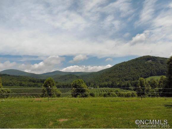 54 Perspective View Lane - Photo 21
