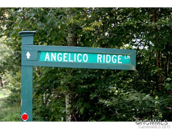 107 Angelico Ridge Lane #8+ - Photo 24