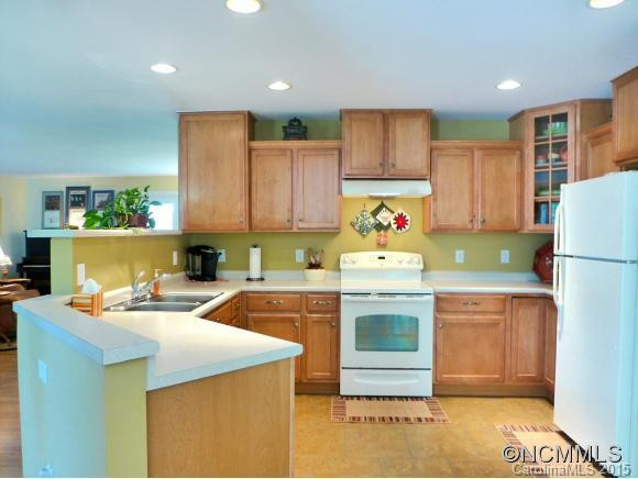 773 Summit Springs Dr. - Photo 4