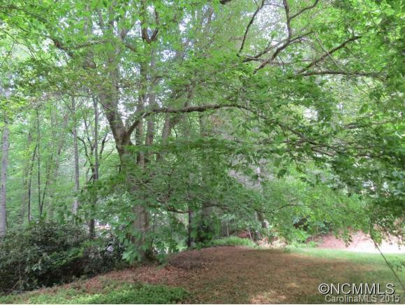 336 Glen Cannon Drive - Photo 21