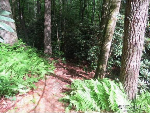 336 Glen Cannon Drive - Photo 22