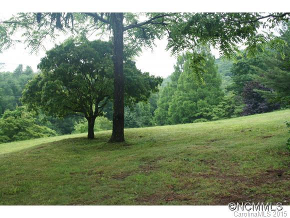 152 Bearwallow Subdivision Rd. - Photo 13