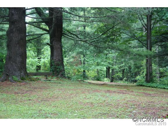 152 Bearwallow Subdivision Rd. - Photo 20
