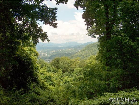 1360 APPLE CREEK ROAD - Photo 3