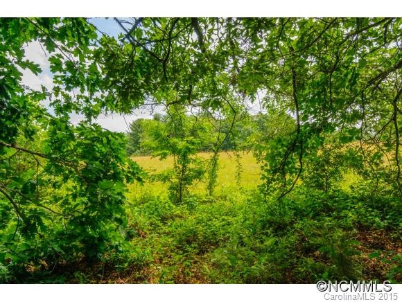 31 Puckett - Photo 22