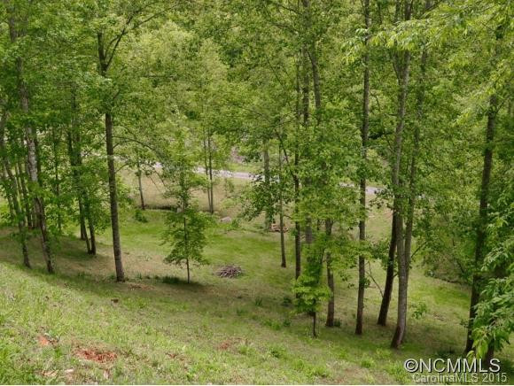 347 WOODED MOUNTAIN TRAIL (7 ac.) - Photo 21