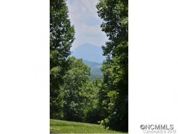 213 COBBLESTONE Drive #25 PISGAH VIEW ESTATES - Photo 22