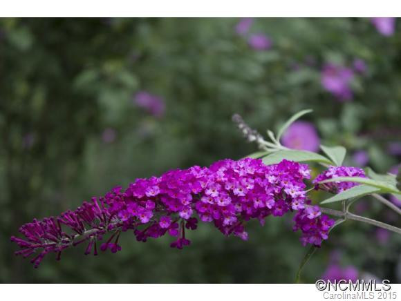 50 Green Hill Road - Photo 23