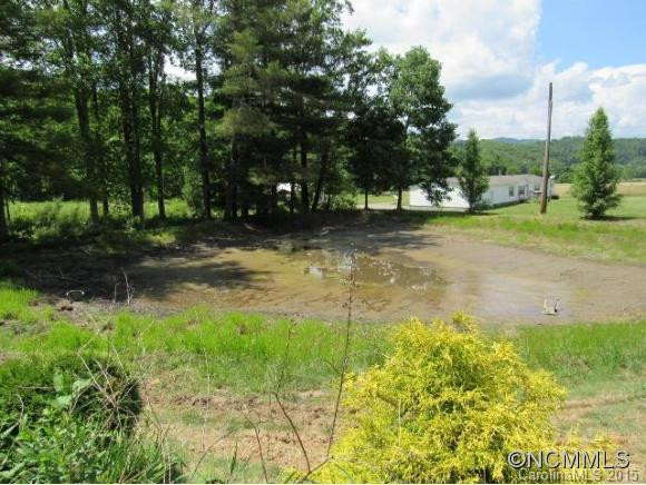 1644 Hwy 80 South - Photo 2