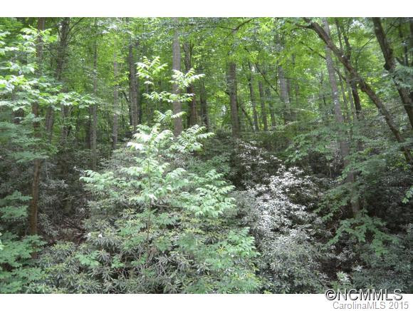 55   P3 Lake Drive - Photo 18