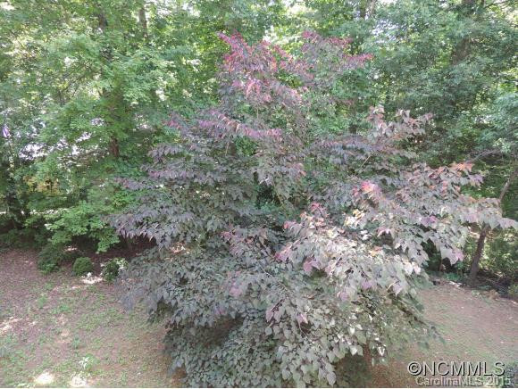 4 Summer Savory Court - Photo 15