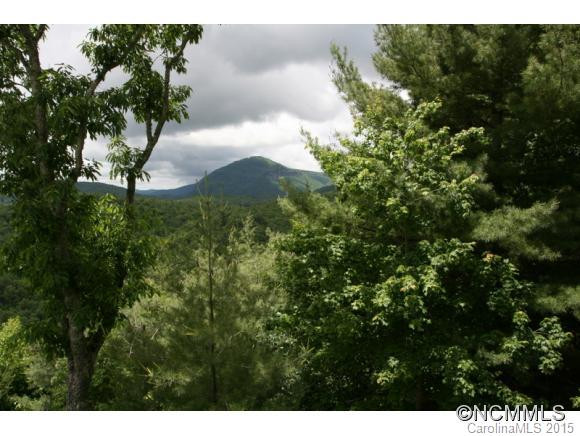 1262 Big Sheepcliff Rd. - Photo 10