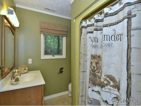 54 Bear Rock Loop Road - Photo 11