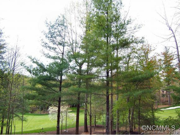 155 Chattooga Run - Photo 16