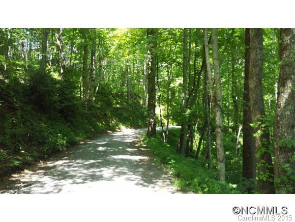 673 Basswood Ridge - Photo 16