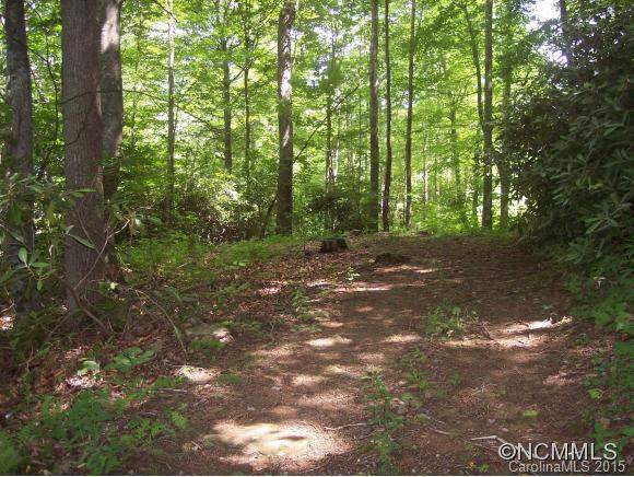 00 Watershed Road - Photo 15