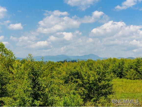 104 Mud Creek - Photo 23