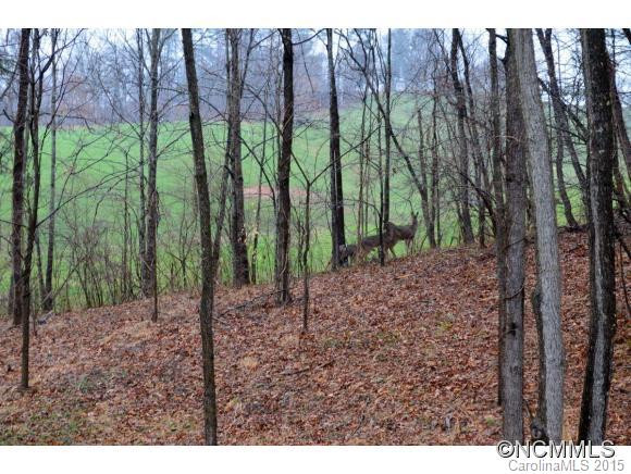 27 Alexander Farms Lane - Photo 22