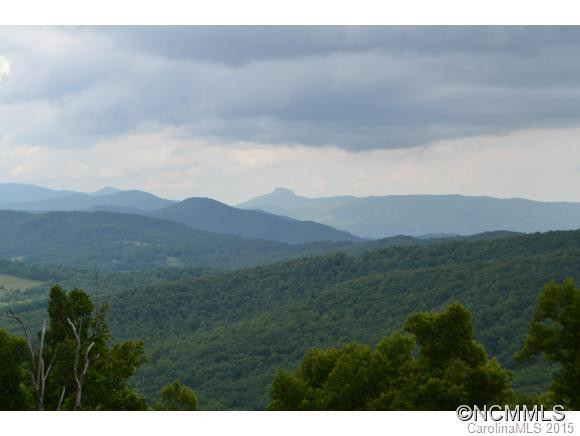262 BLANDS KNOB ROAD - Photo 4
