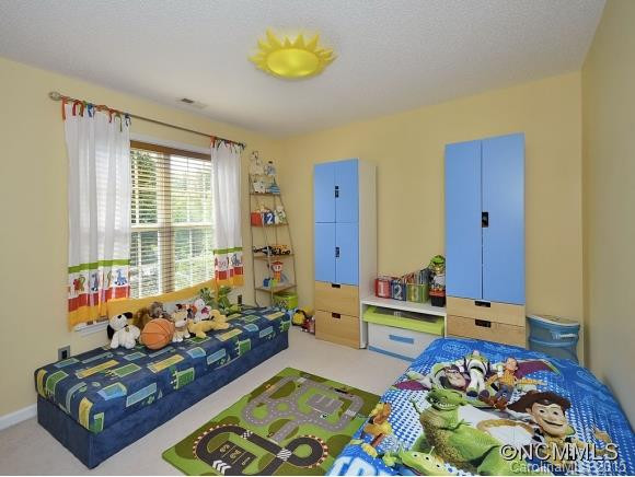 196 RIVERBIRCH DRIVE - Photo 10