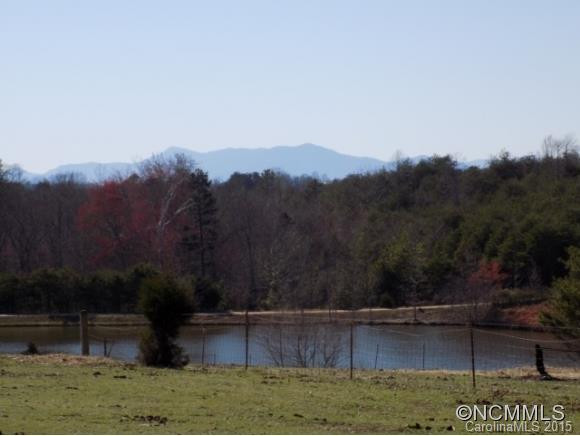 2180 Big Island Road - Photo 2