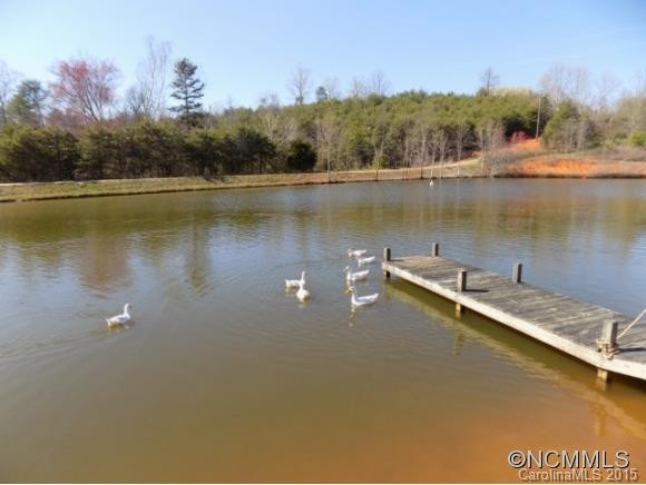 2180 Big Island Road - Photo 3